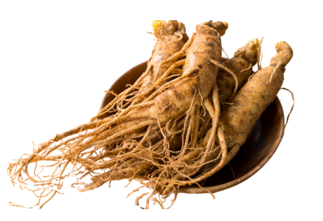 <p><strong>Panax Ginseng</strong> </p>