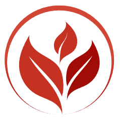 Package Protection & Insurance