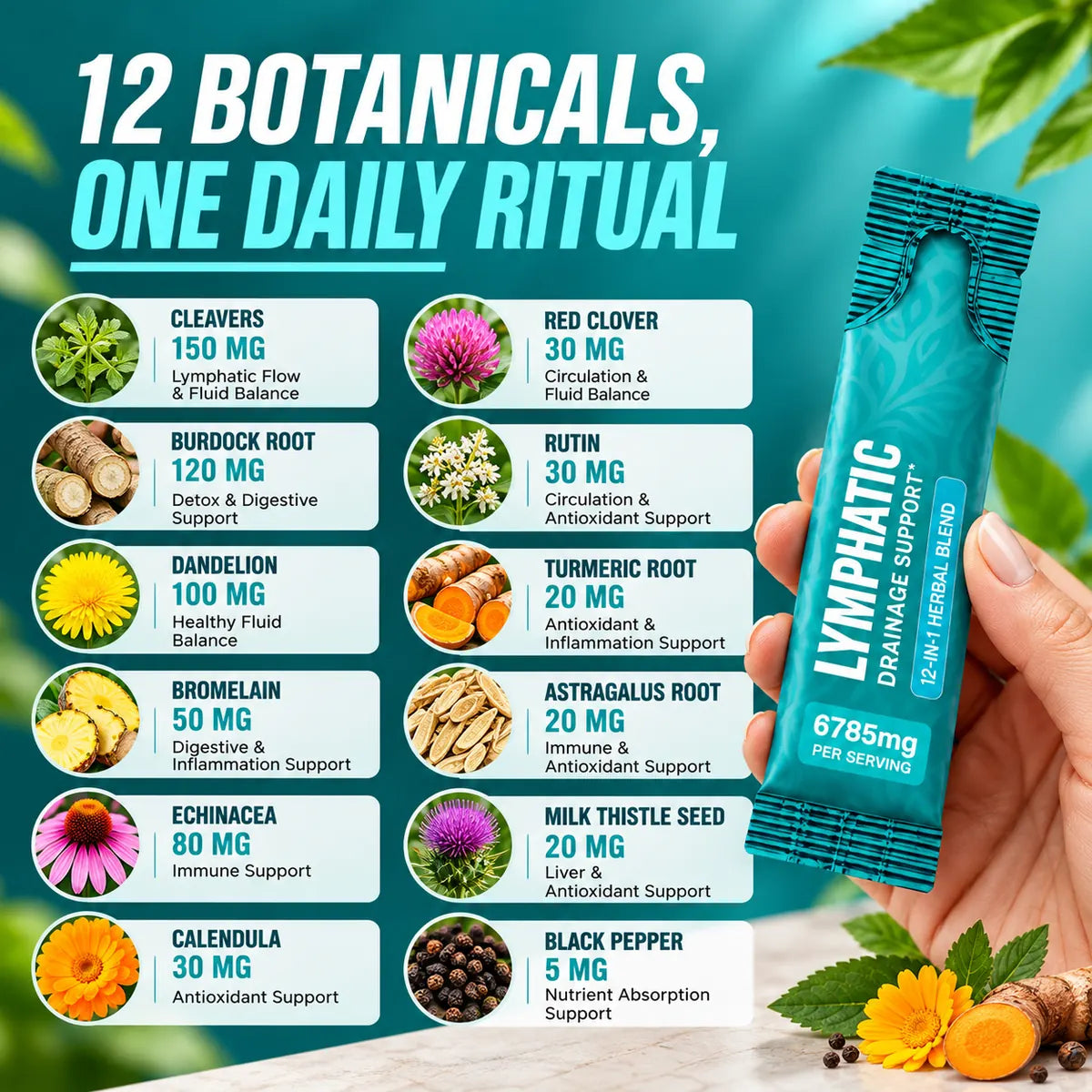 Lymphatic Drainage & Detox Support
