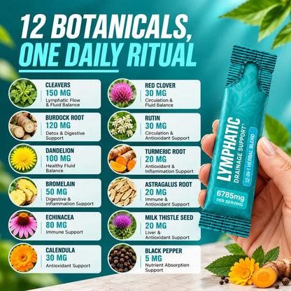 Lymphatic Drainage & Detox Support